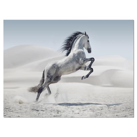 Designart - Galloping White Horse